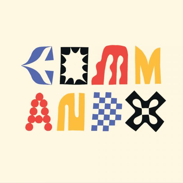 AIGA Command X AIGA Command X