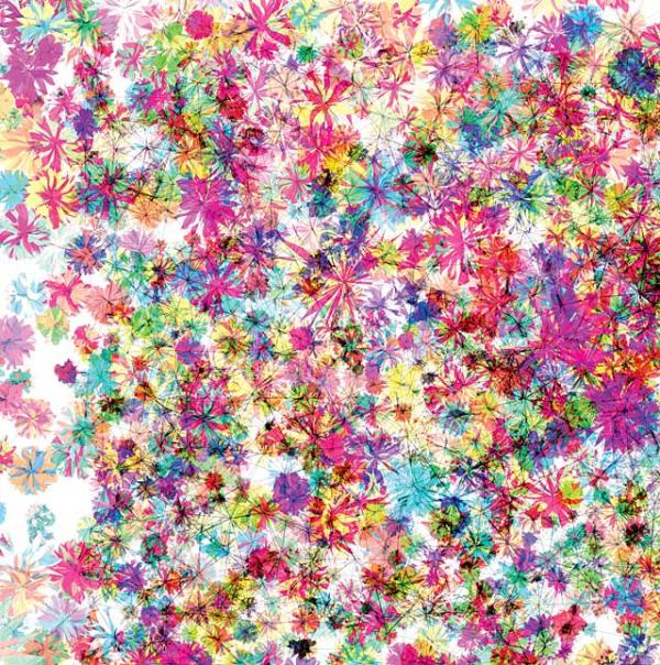 “Florada,” a pattern made for use as a laminated counter top, 2004 “Florada,” a pattern made for use as a laminated counter top, 2004